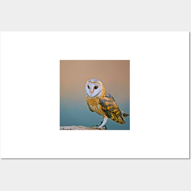 Barn Owl Wall Art by MinnieWilks